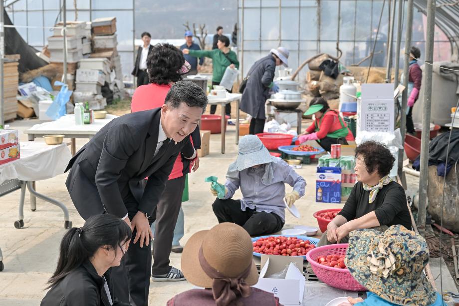 해당파일이미지